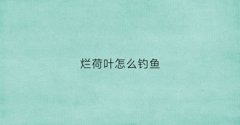 烂荷叶怎么钓鱼(烂荷叶怎么钓鱼最好)