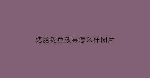 烤肠钓鱼效果怎么样图片