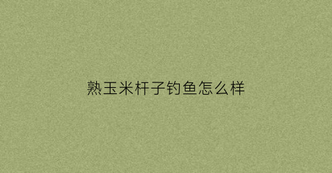 熟玉米杆子钓鱼怎么样(熟玉米生玉米钓鱼哪个好)