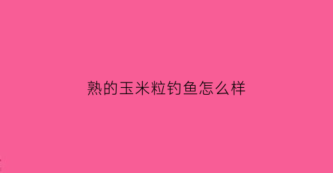 熟的玉米粒钓鱼怎么样(熟的玉米粒能钓鱼吗)