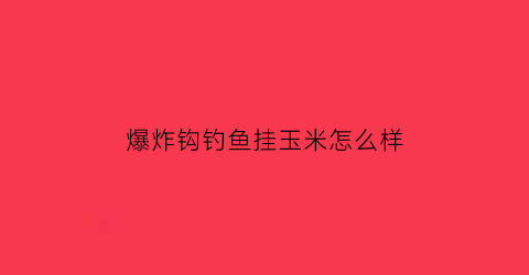 “爆炸钩钓鱼挂玉米怎么样(爆炸钩挂玉米线组安装图)