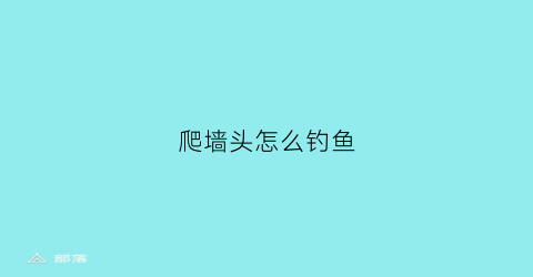 爬墙头怎么钓鱼(爬墙钓法)