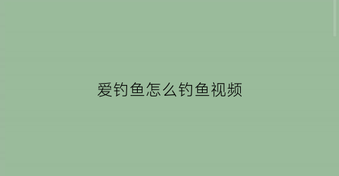 爱钓鱼怎么钓鱼视频(爱钓鱼怎么赚钱)
