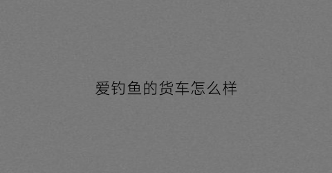 爱钓鱼的货车怎么样(爱钓鱼怎么赚钱)