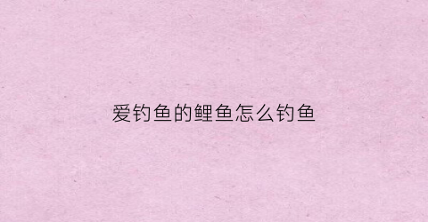 爱钓鱼的鲤鱼怎么钓鱼(鲤鱼好钓)