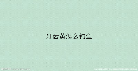 牙齿黄怎么钓鱼(牙齿黄能漂白吗)