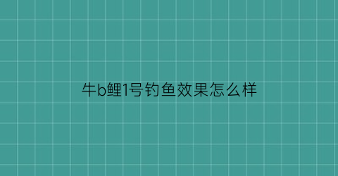 牛b鲤1号钓鱼效果怎么样