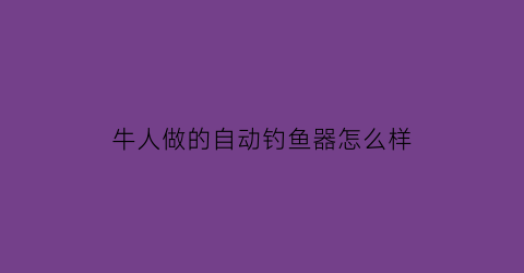 牛人做的自动钓鱼器怎么样(牛人做的自动钓鱼器怎么样用)