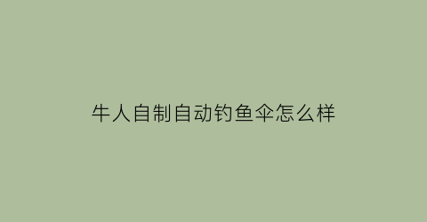 “牛人自制自动钓鱼伞怎么样(自制钓鱼伞支架做法)