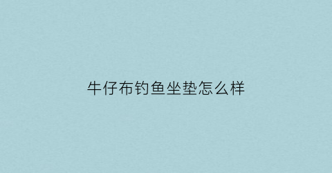 牛仔布钓鱼坐垫怎么样(牛仔布鱼制作图片)