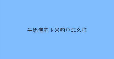 “牛奶泡的玉米钓鱼怎么样(可以用牛奶打玉米汁吗)