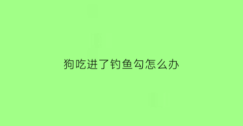 狗吃进了钓鱼勾怎么办(狗吃了鱼钩怎么让它排出去)