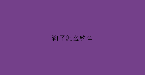 狗子怎么钓鱼(狗子怎么钓鱼视频)