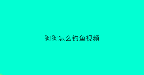狗狗怎么钓鱼视频(小狗钓鱼是用什么钓的)
