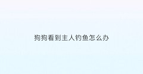 狗狗看到主人钓鱼怎么办(狗狗看见主人又跳又扑是什么意思)