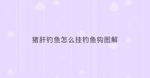 猪肝钓鱼怎么挂钓鱼钩图解(猪肝钓鱼怎么挂钓鱼钩图解视频)