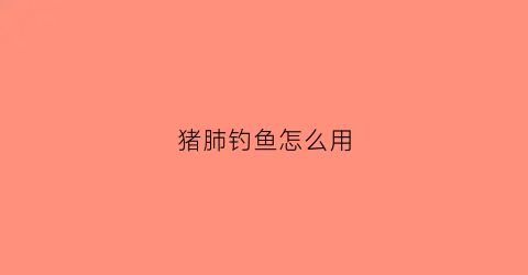 猪肺钓鱼怎么用(猪肺钓鱼怎么用视频教程)