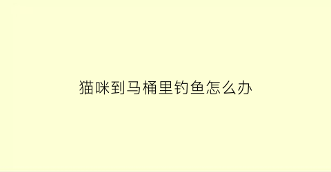 猫咪到马桶里钓鱼怎么办(猫往马桶里钻)