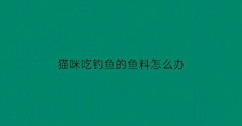 猫咪吃钓鱼的鱼料怎么办(猫吃鱼饵料)