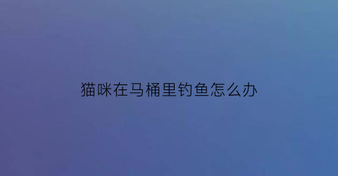 猫咪在马桶里钓鱼怎么办(猫放进马桶里冲走)