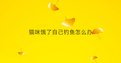 猫咪饿了自己钓鱼怎么办