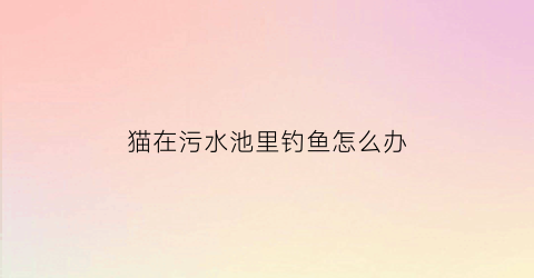 猫在污水池里钓鱼怎么办(小猫在污水里钓鱼漫画作文启示)