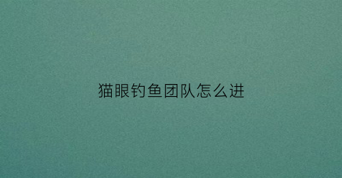 猫眼钓鱼团队怎么进(猫眼钓鱼团队怎么进入)