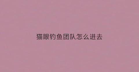 猫眼钓鱼团队怎么进去(猫眼鱼塘可以领多少次)