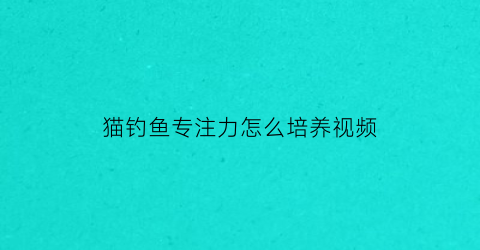 猫钓鱼专注力怎么培养视频(小猫钓鱼很专心)