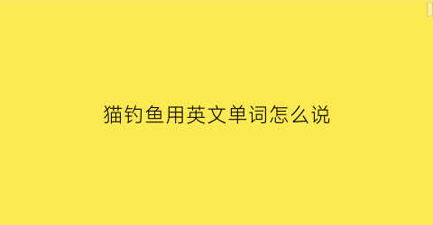 猫钓鱼用英文单词怎么说(小猫钓鱼的英语怎么说)