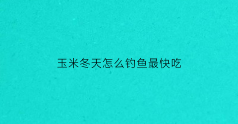 玉米冬天怎么钓鱼最快吃(玉米冬季钓鱼)