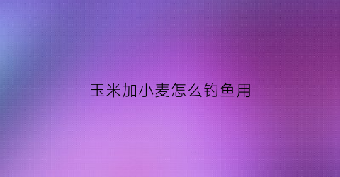 玉米加小麦怎么钓鱼用