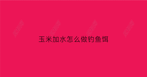 玉米加水怎么做钓鱼饵(玉米加什么钓鱼最好用)