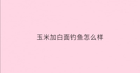 玉米加白面钓鱼怎么样(白面加玉米面)