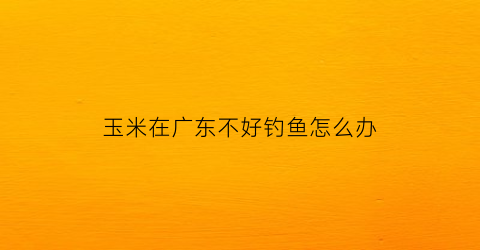 玉米在广东不好钓鱼怎么办(玉米在广东可以四季播种吗)