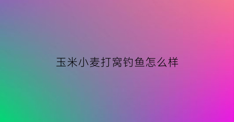 “玉米小麦打窝钓鱼怎么样(小麦玉米钓鱼饵料做法)