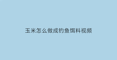 玉米怎么做成钓鱼饵料视频(玉米怎么做成钓鱼饵料视频教学)
