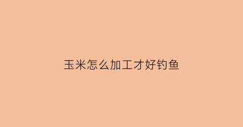 玉米怎么加工才好钓鱼(玉米加工方式有哪些)