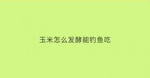 玉米怎么发酵能钓鱼吃(玉米怎么发酵做窝料)