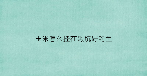 玉米怎么挂在黑坑好钓鱼(玉米怎么挂在黑坑好钓鱼视频)