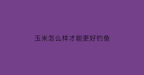 玉米怎么样才能更好钓鱼(钓玉米怎么钓)
