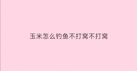 玉米怎么钓鱼不打窝不打窝(玉米钓鱼怎么打窝用什么钓)