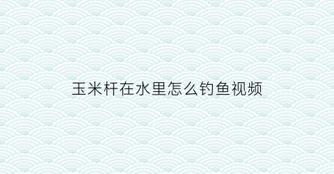 玉米杆在水里怎么钓鱼视频(玉米杆在水里怎么钓鱼视频教学)