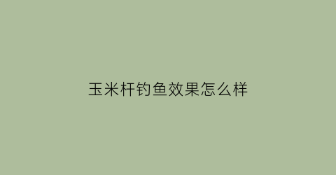 玉米杆钓鱼效果怎么样(玉米杆钓鱼效果怎么样呀)