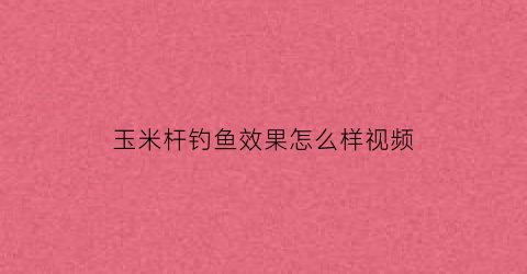 玉米杆钓鱼效果怎么样视频(玉米杆钓鱼效果怎么样视频讲解)