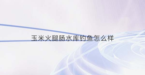 玉米火腿肠水库钓鱼怎么样(玉米火腿能钓鲤鱼吗)