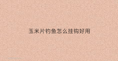 玉米片钓鱼怎么挂钩好用(玉米片能钓鱼吗)