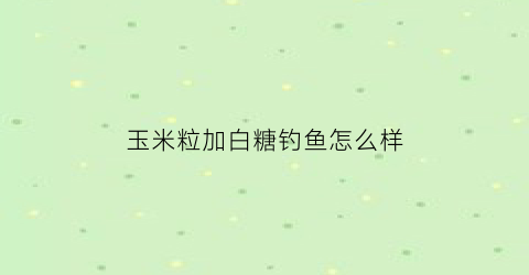 玉米粒加白糖钓鱼怎么样(玉米加白糖能钓鱼吗)