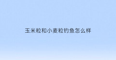 玉米粒和小麦粒钓鱼怎么样(玉米和小麦哪个钓鲤鱼效果好)
