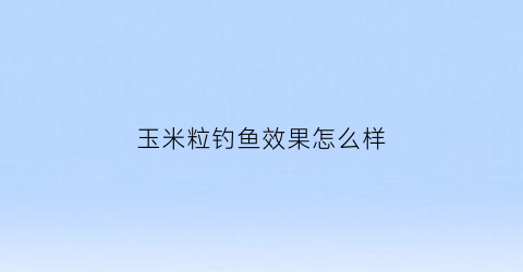 玉米粒钓鱼效果怎么样